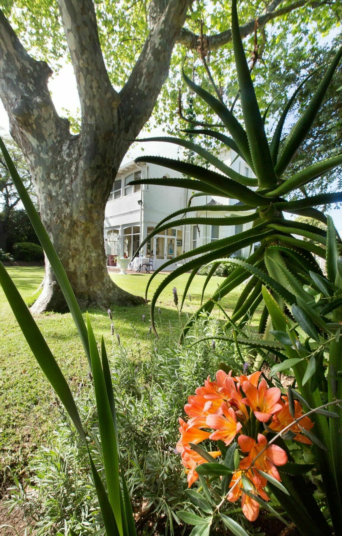 Brooklands House Hotel Cape Town Luaran gambar